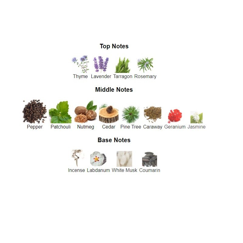 عطر مردانه اورلان دریک Orlabe Derrick